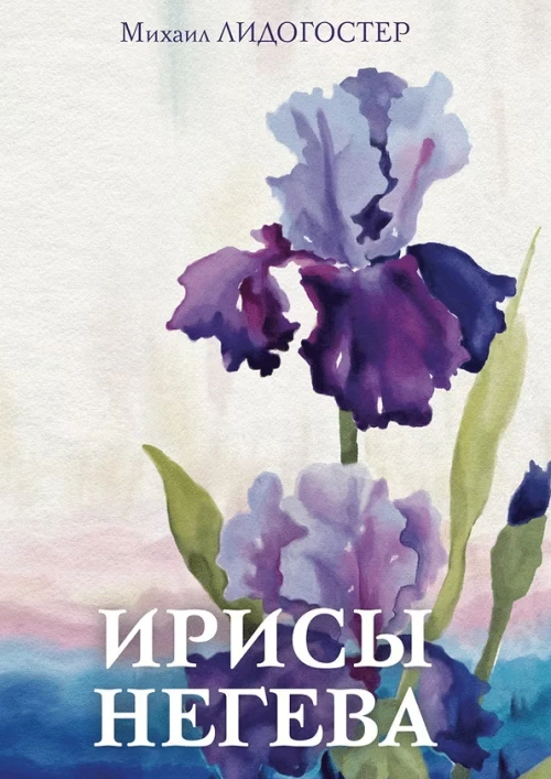 Ирисы Негева