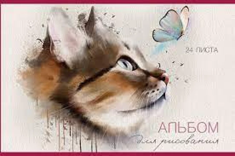 048153 Альбом для рисования Поймай меня
