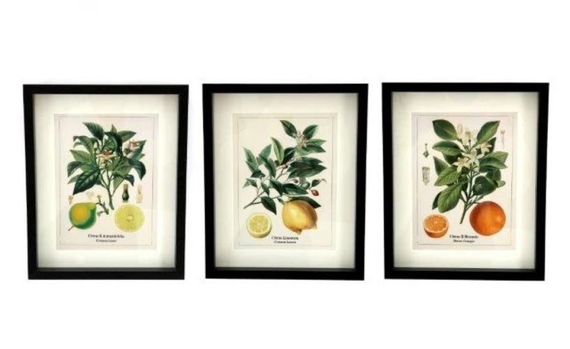 SiL  Постеры в рамах под стеклом в ассортменте, 20X25 CM 