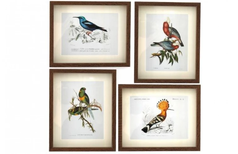 SiL  Постеры в рамах под стеклом в ассортменте 20X25X2.5 CM