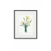 SiL  Постеры в рамах под стеклом в ассортменте, Цветы, 20X25X2.5 CM
