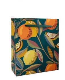 SiL  Подарочный пакет в ассортименте  19X23 CM
