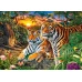 Castorland "Семья тигров", 180 элементов
