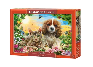 Castorland 