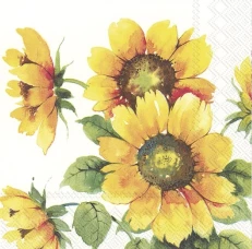 Обеденные салфетки 33Х33  COLOURFUL SUNFLOWERS L 863100