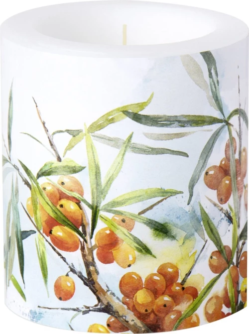 IHR Свеча парафиновая Облепиха, 9x10,5 см, CKM 906700