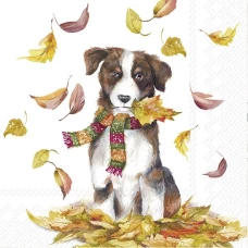 IHR Обеденные салфетки DOG HAVING FUN, 33x33 см, L1014900