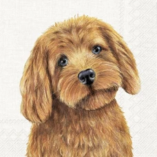 IHR Обеденные салфетки Фермерская собака, 33x33 см, L1047560
