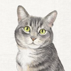 IHR Обеденные салфетки Фермерский кот, 33x33 см, L1047660