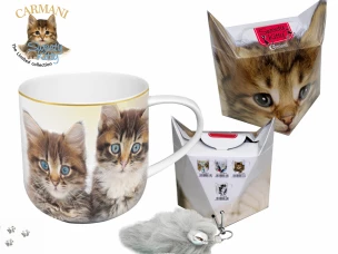 Кружка - Близнецы кошки + коробка с хвостом