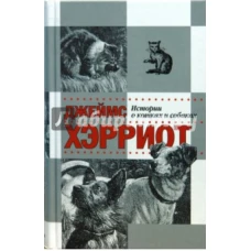 Кошки и собаки