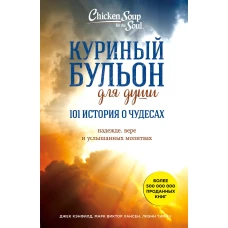 Куриный бульон для души: 101 история о чудесах