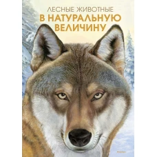 Лесные животные в натуральную величину