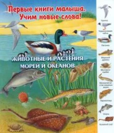 Животные и растения морей и океанов