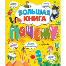 Большая книга почему