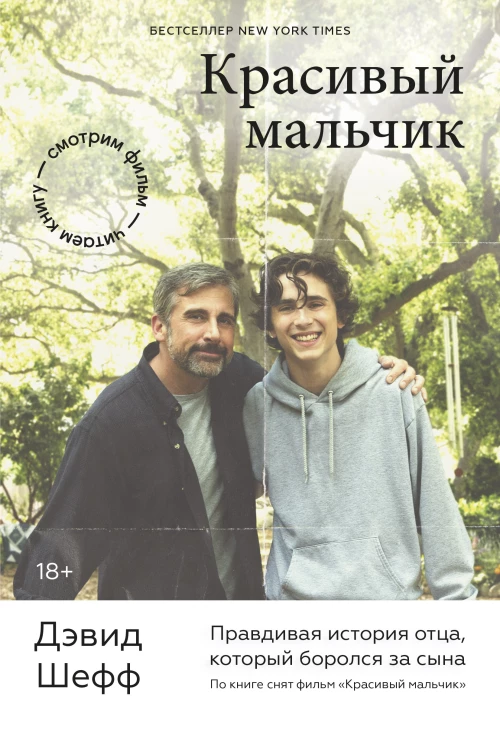 Дэвид Шефф: Красивый мальчик. Правдивая история отца, который боролся за сына