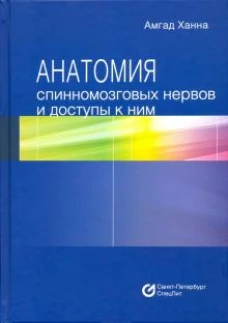 Анатомия спинномозговых нервов и доступы к ним