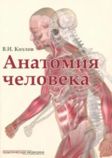 Анатомия человека.Учебник для медицинских вузов
