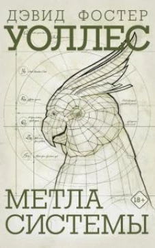Дэвид Уоллес: Метла системы