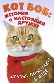 Кот Боб: история о настоящей дружбе (комплект из 2-х книг)