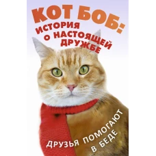 Кот Боб: история о настоящей дружбе (комплект из 2-х книг)