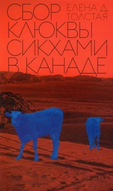 Елена Толстая: Сбор клюквы сикхами в Канаде