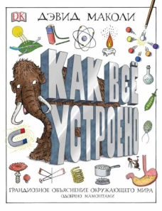 Дэвид Маколи: Как все устроено