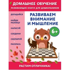 Развиваем внимание и мышление: для детей от 6 лет