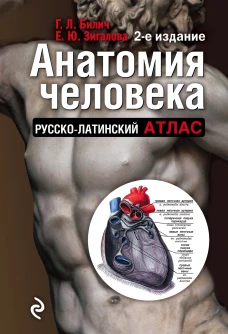 Анатомия человека: Русско-латинский атлас. 2-е издание