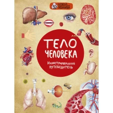 Тело человека