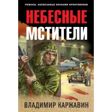 Небесные мстители