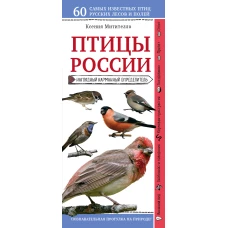 Птицы России. Наглядный карманный определитель (для ПР)