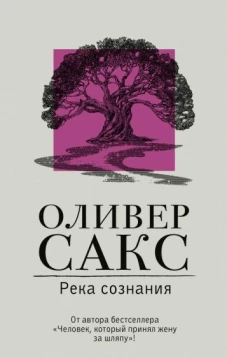  Река сознания
