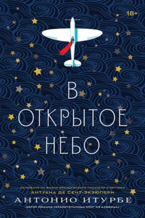 В открытое небо: роман