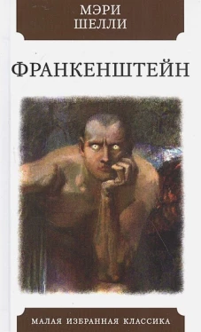 Мэри Шелли: Франкенштейн, или Современный Прометей