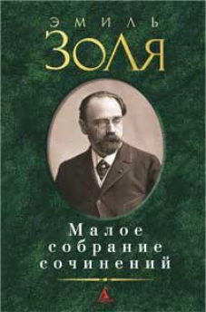Эмиль Золя. Малое собрание сочинений