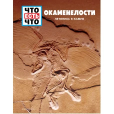 ОКАМЕНЕЛОСТИ. Летопись в камне