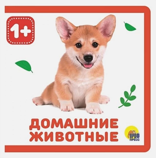 КНИЖКИ НА ПЕНЕ. ДОМАШНИЕ ЖИВОТНЫЕ