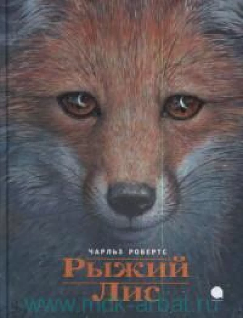 Рыжий лис