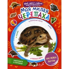 Моя милая черепаха + наклейки внутри