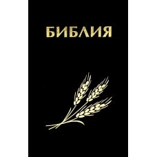 Библия. Книги Священного Писания Ветхого и Нового Завета канонические в русском переводе с параллельными местами.