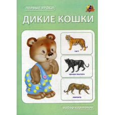 Дикие кошки. Набор карточек.