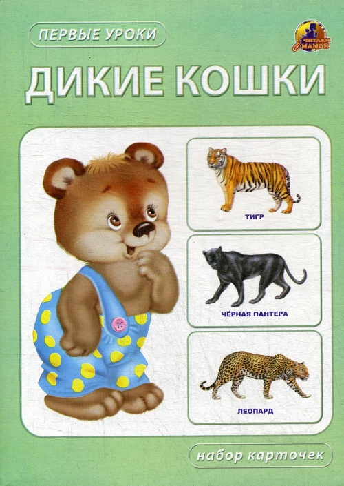 Дикие кошки. Набор карточек.