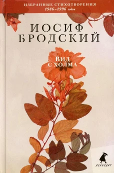 Вид с холма