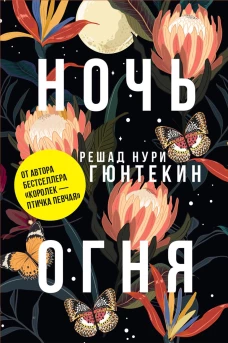 Ночь огня (пер.). Гюнтекин Р.Н.