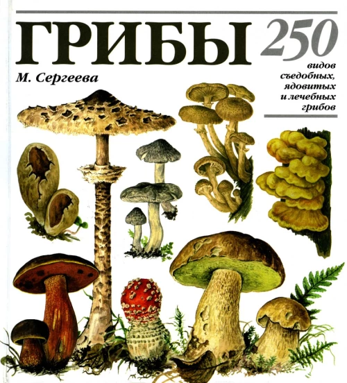Грибы: 250 видов съедобных, ядовитых и лечебных грибов. Сергеева М.Н.