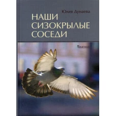 Наши сизокрылые соседи.
