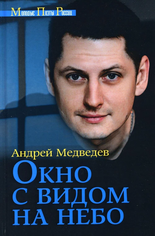 Окно с видом на небо. Медведев А.А