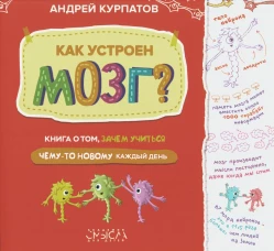 Как устроен мозг? Книга о том, зачем учиться чему-то новому каждый день. Курпатов А.В.