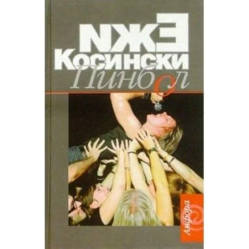 Амф.Косински.Пинбол